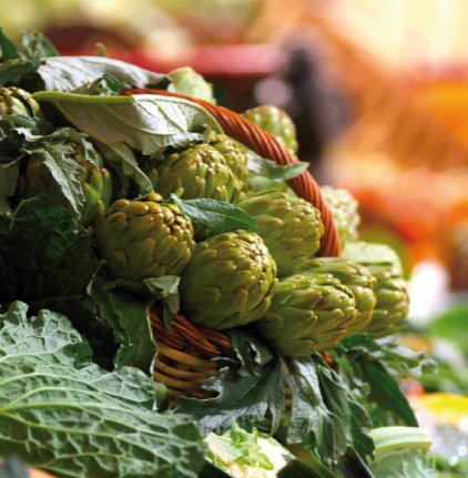 Agencia de comunicación V3rtice para Ajuntament del Prat de Llobregat