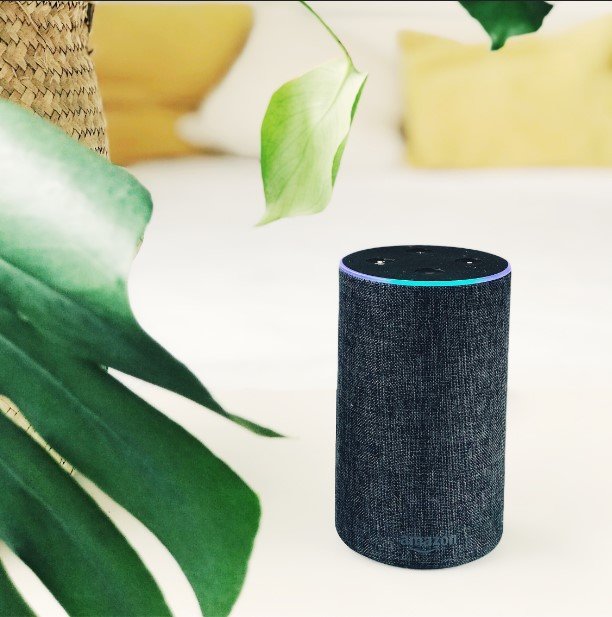 Millora el teu posicionament orgànic gràcies al SEO per cerca de veu