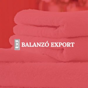 Gestió i creació de ecommerce per a Balanzó Export