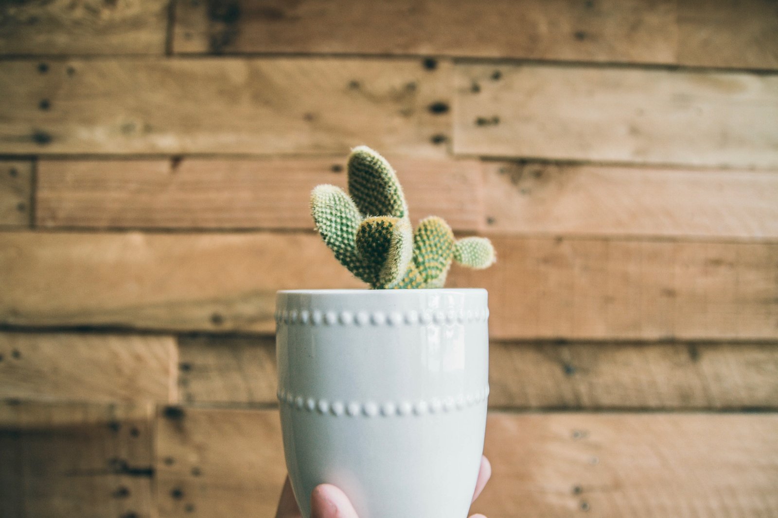 El Marketing comprometido, el futuro de la industria.