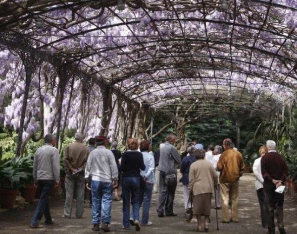 Organización de evento para la Asociación Iberomacaronéica de Jardines Botánicos