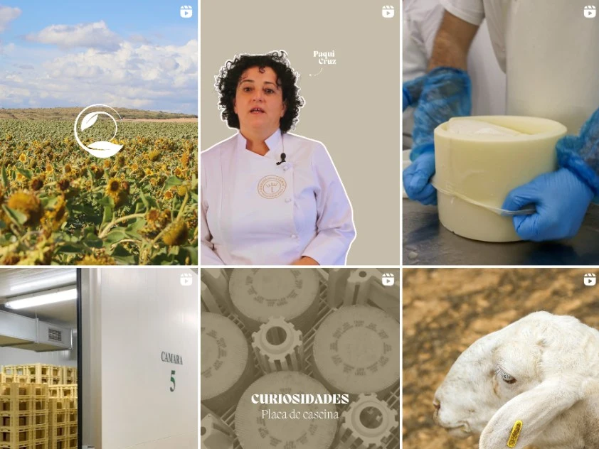 Dehesa de Los Llanos Digital Marketing Project Sample of the Instagram feed of Dehesa de los Llanos worked by V3rtice's digital marketing team.